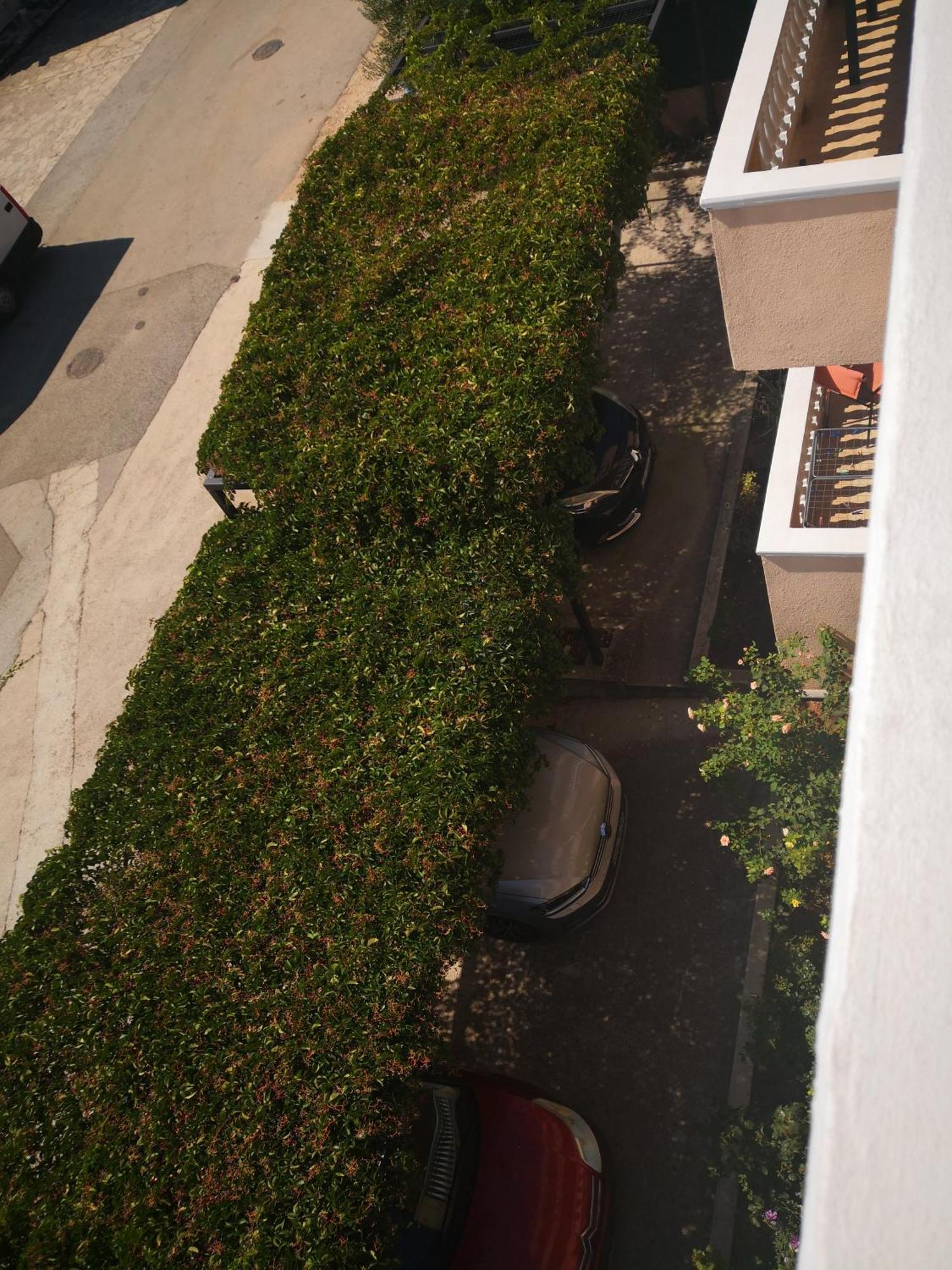 Apartment Plavia Biograd บีโอกราดนาโมรู ภายนอก รูปภาพ